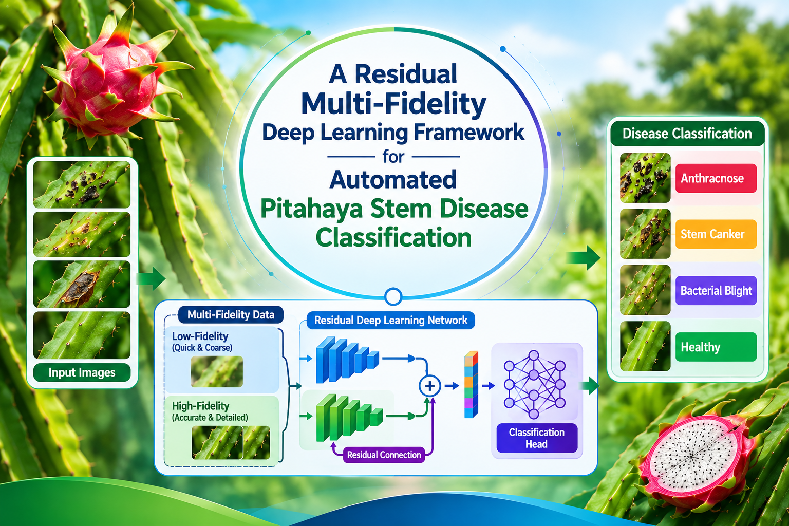 A Residual Multi-Fidelity Deep Learning Framework for Automated Pitahaya Stem Disease Classification