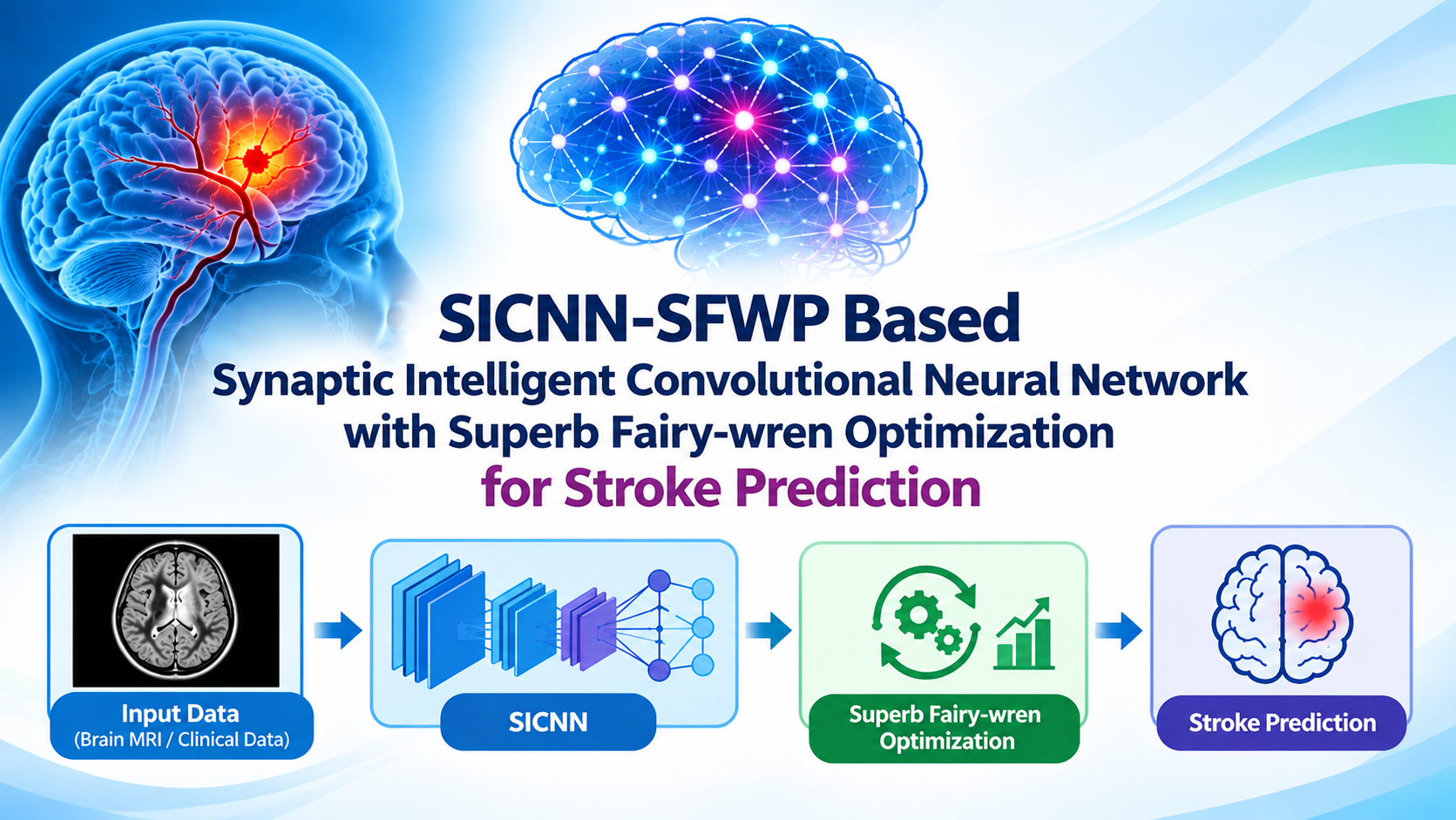 SICNN-SFWP Based Synaptic Intelligent Convolutional Neural Network with Superb Fairy-wren Optimization for Stroke Prediction
